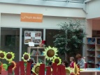 ferie w bibliotece 2015