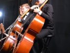 Muzycy podczas konceru symfonicznego