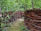 Park miejski