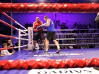 bokserzy na ringu