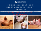 Grafika promująca program pomocy dla rolników utrzymujących lochy i prosięta 