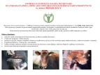 ulotka zawierająca podtsawowe informacje o pryszczycy